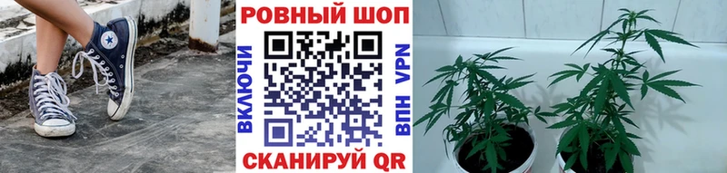 Виды наркотиков купить Злынка Галлюциногенные грибы Каннабис Кокаин А ПВП Меф Гашиш АМФ