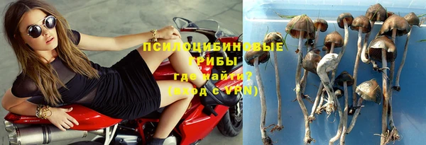 прущая мука Армянск