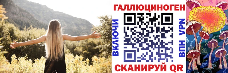 Псилоцибиновые грибы мицелий  Злынка 