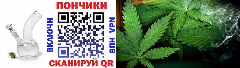 Канабис ГИДРОПОН  где найти   Злынка 